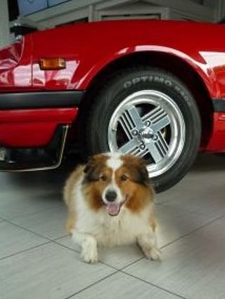 Autohaus-Hund Fipsi / Abteilung Unser Team